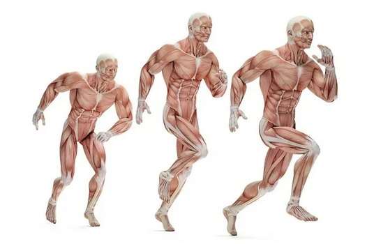 [Александр Волоткевич] Ягодицы 360. Связь со стопо_0.png